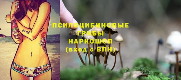 гидропоника Беслан