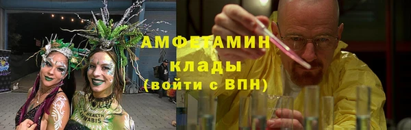 стаф Нея