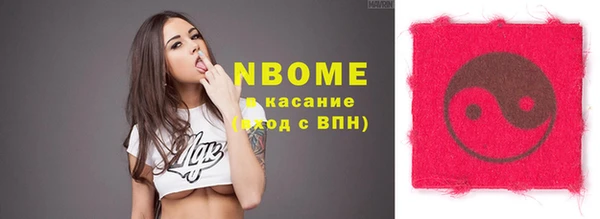 стаф Нея