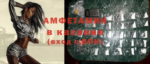 стаф Нея
