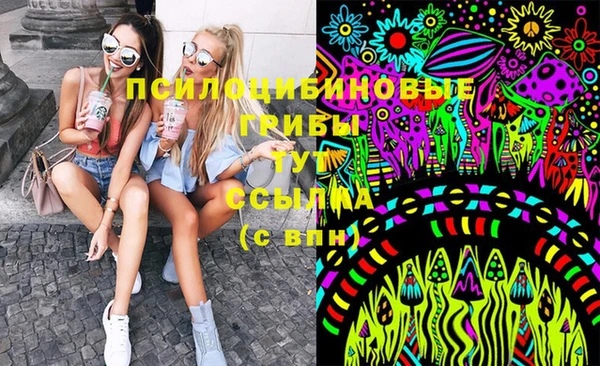 стаф Нея