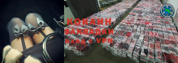 стаф Нея
