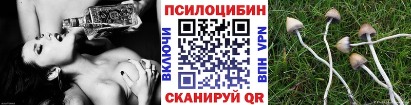 Псилоцибиновые грибы прущие грибы  хочу   Остров 